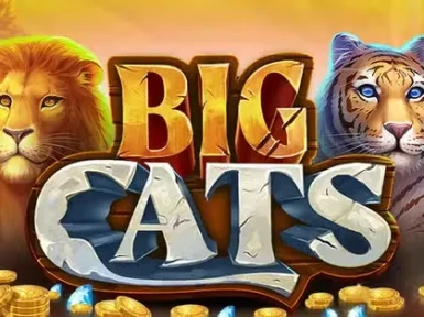 Reels of Joy Casino screenshot
